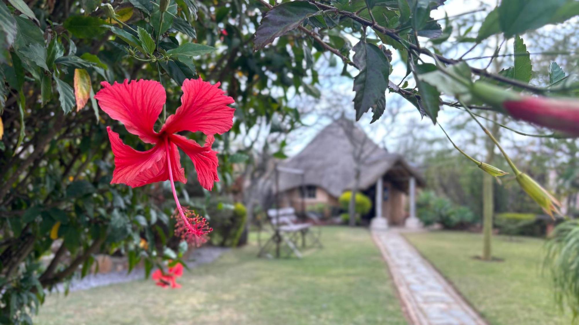 Lynns Guest House Bulawayo Esterno foto